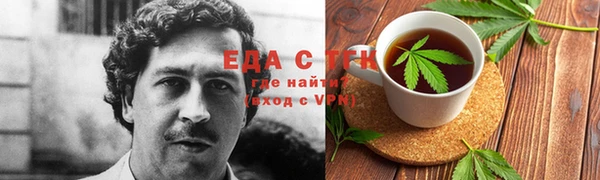 индика Горняк