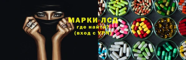индика Горняк
