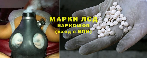 индика Горняк