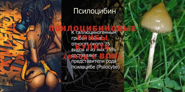 MDMA Premium VHQ Горнозаводск