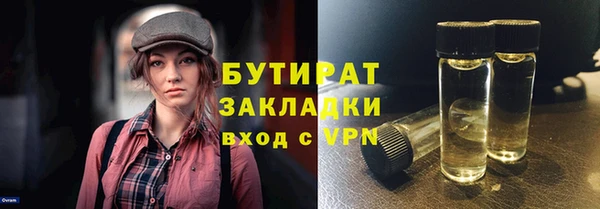 индика Горняк
