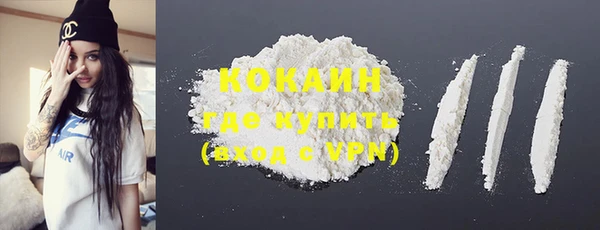 индика Горняк