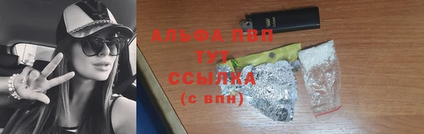 индика Горняк