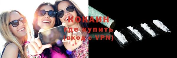 индика Горняк