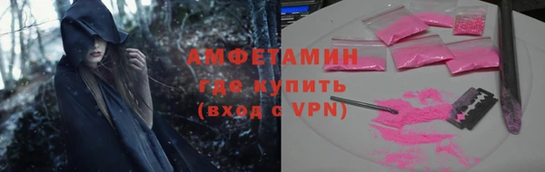 индика Горняк