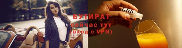 индика Горняк