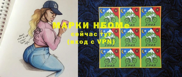 индика Горняк