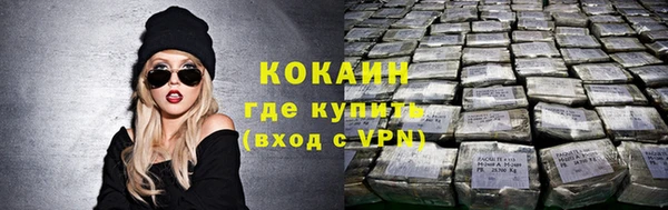 индика Горняк