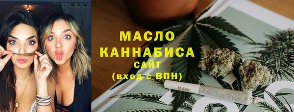 индика Горняк