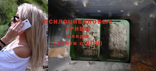 индика Горняк