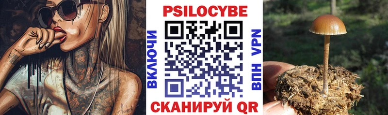 купить сайты Дмитриев Галлюциногенные грибы Psilocybine cubensis